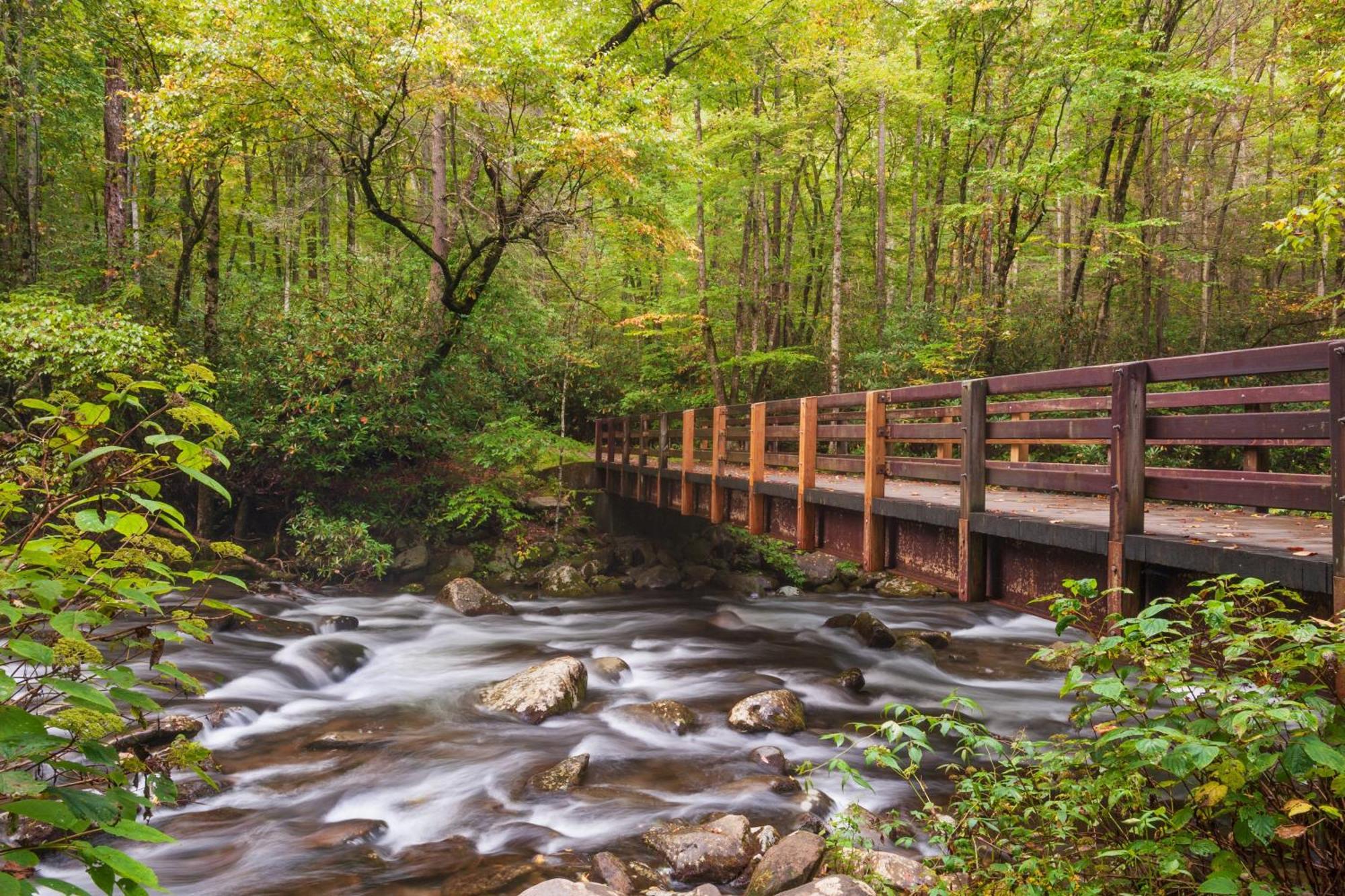 Key Lime Pie, Hot Tub,Wifi, 1089 Free Tickets Each Paid Day, Dollywood And More Gatlinburg Ngoại thất bức ảnh